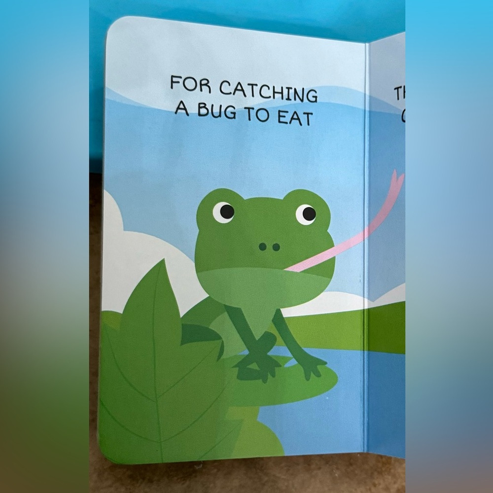 My First Baby Animals Book Set - Picture 7 of 12